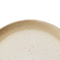 Beige Reactive Stoneware Dinner Plate 10.5