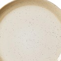 Beige Reactive Stoneware Dinner Plate 10.5